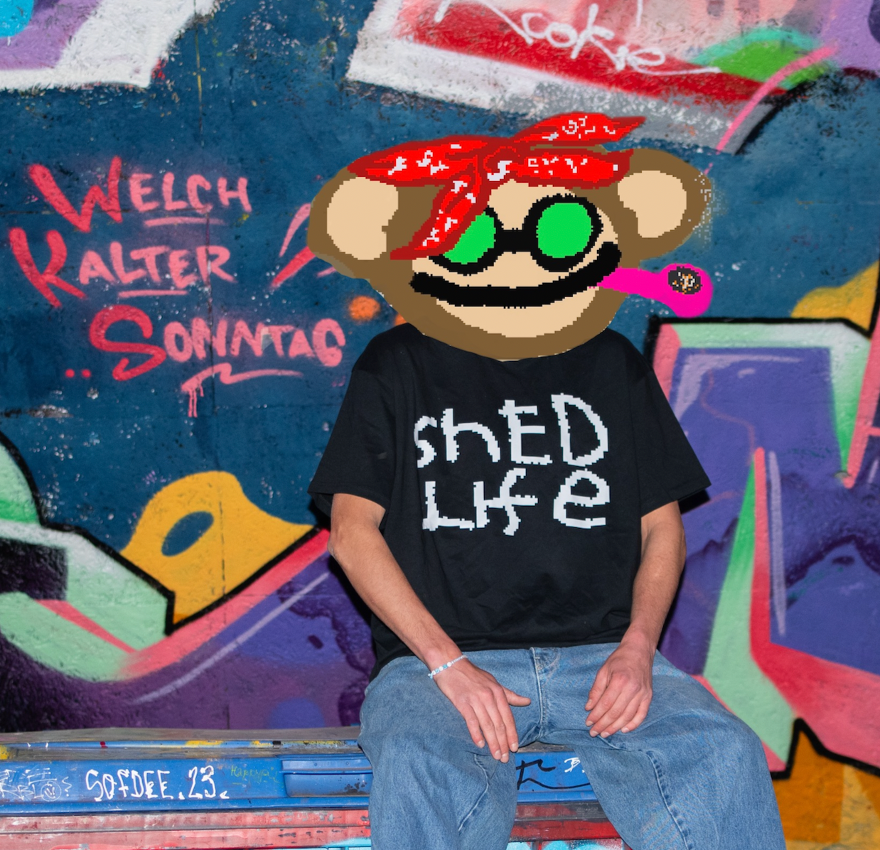 SHED LIFE Shirt